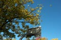 bild004
