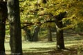 bild017