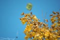 bild021