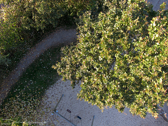 bild005
