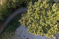 bild005