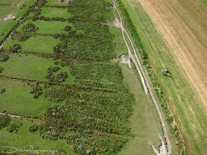 bild030