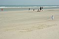 bild099