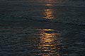 bild114