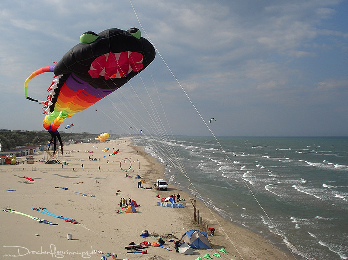 bild011