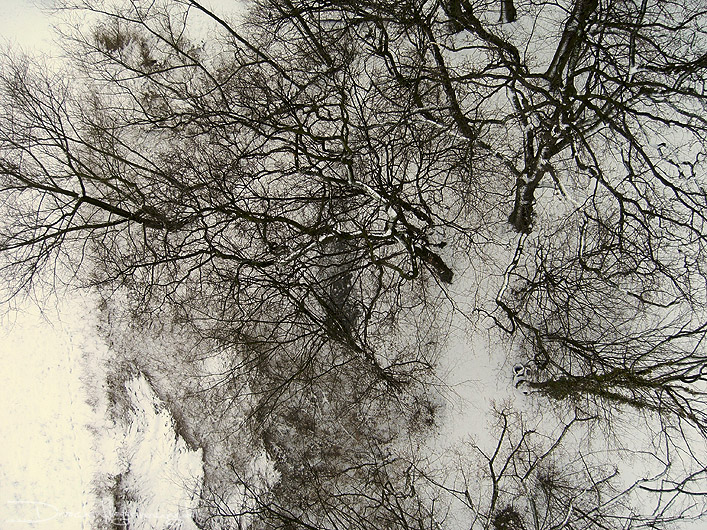 bild062