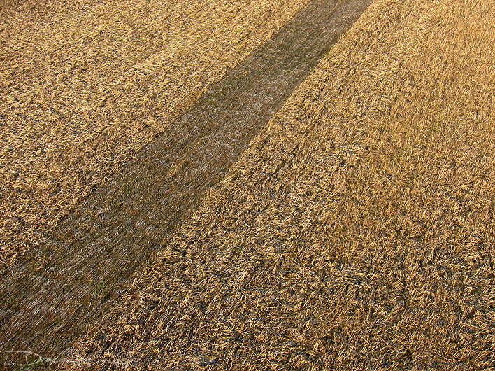 bild089