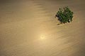 bild080